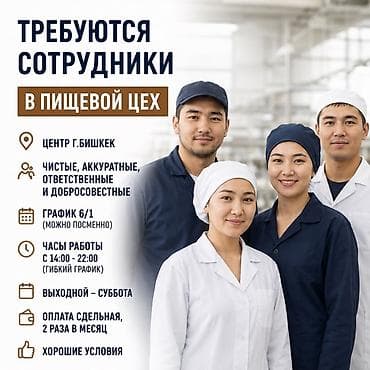 Тамак-аш цехине таза, тыкан, жоопкерчиликүү ишчилер керек! Цех