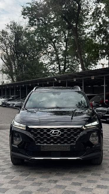 пороги на киа карнивал: Hyundai Santa Fe: 2019 г., 2 л, Автомат, Дизель, Кроссовер — 2