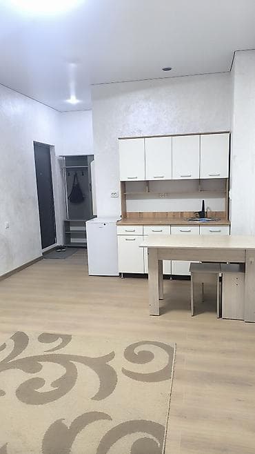 pro group: Студия, Собственник, Без подселения, С мебелью полностью — 4