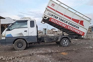 Легкий грузовик, Hyundai