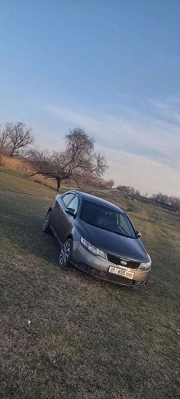 Kia Cerato: 2010 г., 1.6 л, Механика, Бензин, Седан