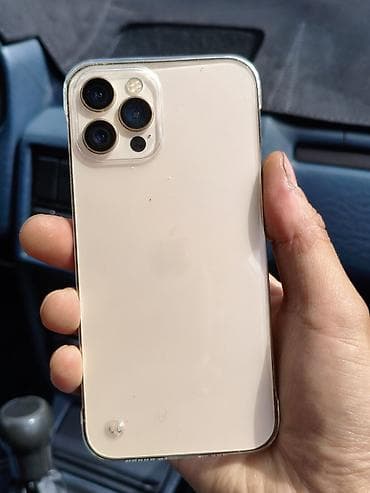 IPhone 12 Pro Max, Серебристый, Чехол