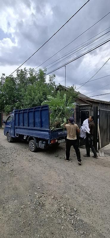 Заказать Хендай портер, Вывоз бытового мусора, C грузчиком at lalafo.kg Заказать Хендай портер, Вывоз бытового мусора, C грузчиком