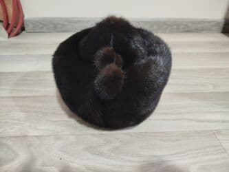 дождевик для мопеда: Цвет - Черный — 1