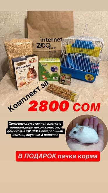 морской свин: Хомячки джунгарские, сирийские, ангорские. Хомячки ручные — 7