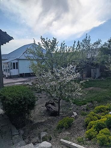 дом участок: 11 соток, Красная книга, Тех паспорт — 5