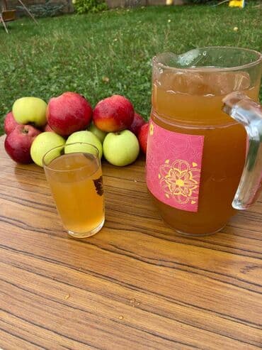 Услуги по отжиму яблочного сока! Прямой отжим яблочного сока из сырья at lalafo.kg Услуги по отжиму яблочного сока! Прямой отжим яблочного сока из сырья