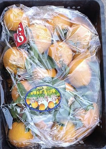 Жашылчалар: Апельсиндер Дүңүнөн — 2