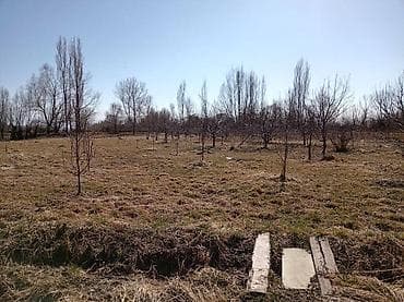 ищу работу отель: ПРОДАЁТСЯ ДОМ С УЧАСТКОМ 1 ГЕКТАР В СЕЛЕ Григорьевка (район пристани) — 6