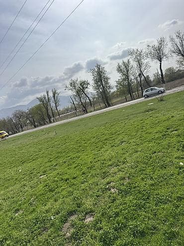 задаю: 150 соток, Для сельского хозяйства, Договор купли-продажи — 4