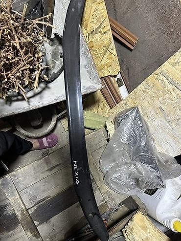 ветровик киа карнивал: Мухобойка на капот Daewoo — 1