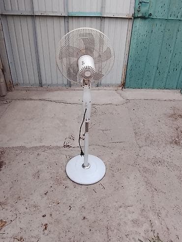 отдам даром комнатные цветы: Продам. 1500.сом.рабочий — 2