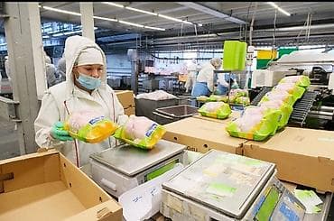 Требуется Упаковщик, Оплата: Дважды в месяц, Без опыта