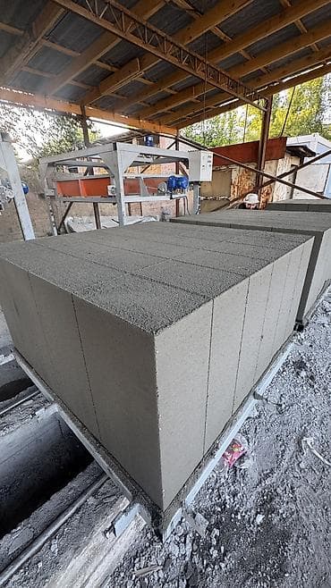 обработка тараканов: Газоблок, Неавтоклавный, 600x200x300, D700 — 9