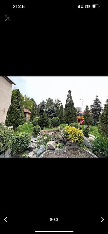 зеленый городок: 🌱Я Садовник Стрижка Живой изгородь,самшит,Туи,хвойные растения, Я — 8