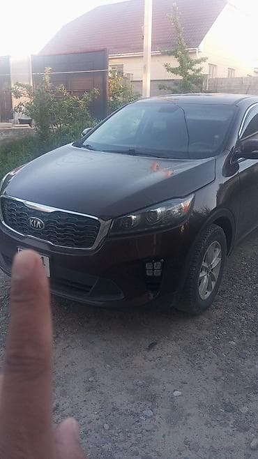 2019: Kia Sorento: 2019 г., Автомат, Кроссовер — 7