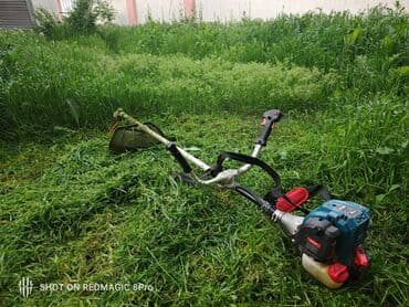 газонокосилку: Аренда Гозонокосилка триммер косилка газонокосилка, Косим газоны по — 1