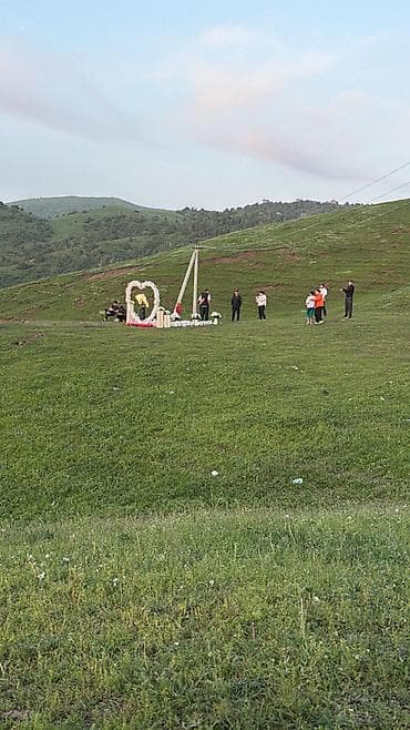 ортопедическая сидушка: Услуги выезд с водителем минивэн (#фотосессия, #отдых, #семья — 6