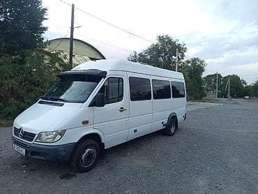 мэри: Mercedes-Benz Спринтер: 2006 г., 2.7 л, Автомат, Бус — 9