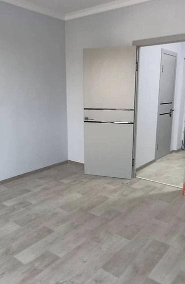 Батирлер: 1 бөлмө, Кыймылсыз мүлк агенттиги, Чогуу жашоосу жок, Жарым -жартылай эмереги бар — 4