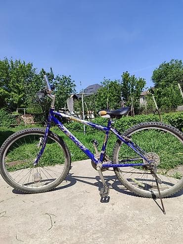 Велосипеддер: Шаардык велосипед, Велосипед алкагы L (172 - 185 см), Колдонулган — 2