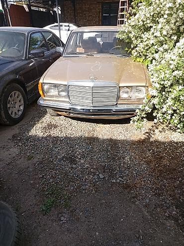требуется вложения: Mercedes-Benz E-Class: 1981 г., Механика, Бензин — 6