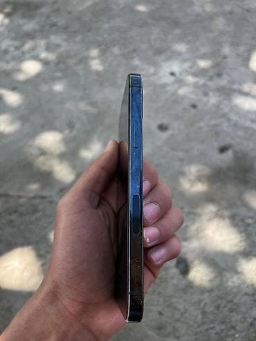 IPhone 12 Pro, Графит