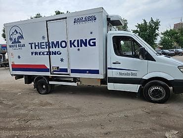 спринтер дверь: Легкий грузовик, Mercedes-Benz, Стандарт, Б/у — 7