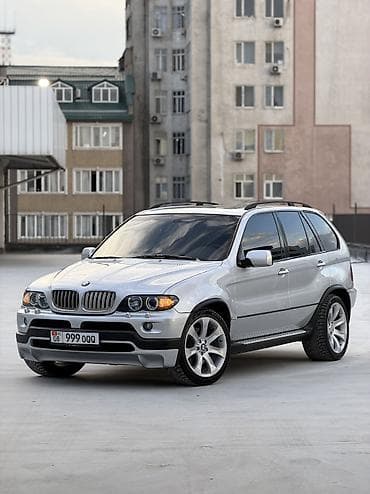 bmw e43: BMW X5: 2004 г., 4.8 л, Автомат, Бензин, Внедорожник — 3
