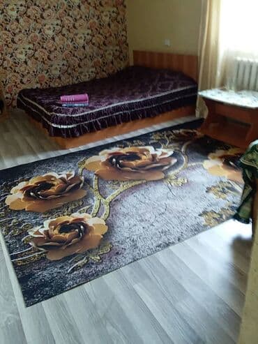 комната политех: 20 м², С мебелью — 4