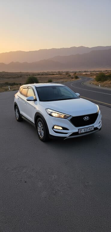 Hyundai Tucson: 2018 г., 2 л, Автомат, Дизель, Кроссовер