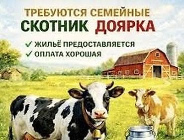 няня для новорожденных: Требуется Доярка, Питание — 1
