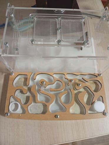 Продаю формикарий