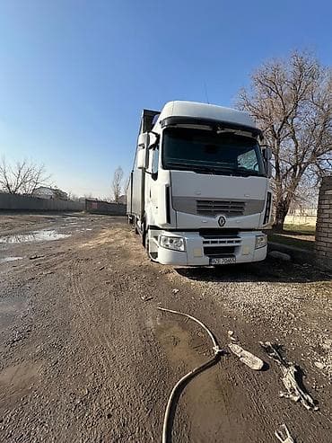 рино премиум: Грузовик, Renault — 2