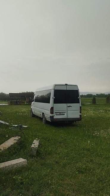 спиринтер бутка: Баруучу жер: Бардык багыттар, Орундардын саны: Башка сан — 7