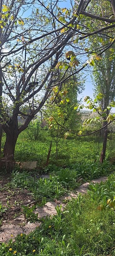 ош ишкаван: Продаётся земельный участок с домом в зелёной сельской местности. 8 — 4