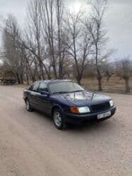 мерс 124 газ бензин: Audi 100: 1992 г., 2 л, Механика, Бензин, Седан — 3