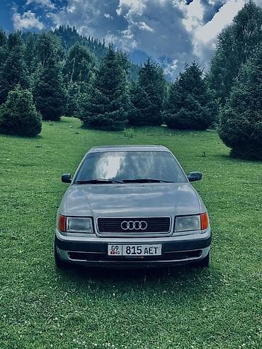 Audi 100: 1993 г., Бензин, Седан