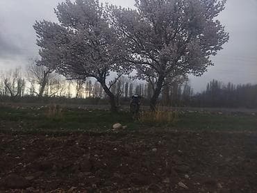 матор скутер: Скутер/мопед 110куб дорожного типа двух местный на колёсах 17 — 3