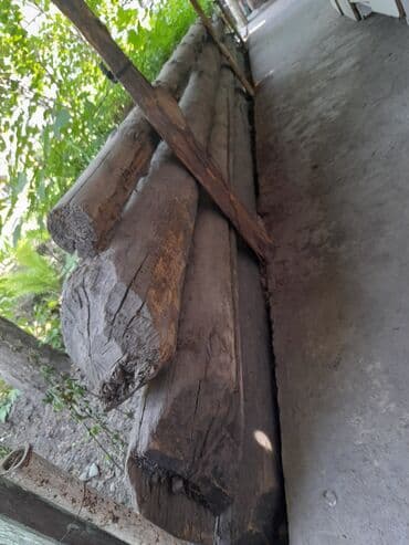 ХДФ: Бревно 3 тополья по 5 метров сухие 
Цена 1200 за 1 штук — 2