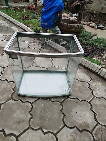 Аквариумдар: Аквариум панорамный стеклянный - Форма: изогнутое (выпуклое) переднее — 1