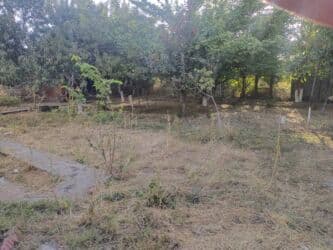 продажа дома в селе ивановка: Жер уй ижарага берилет. дареги: Сузак району, Благовещенка айылы — 8