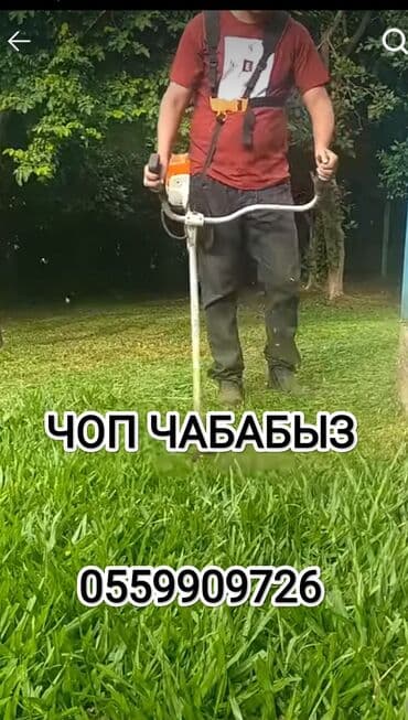 ипотечный дом: Уборка территории, Другое — 1