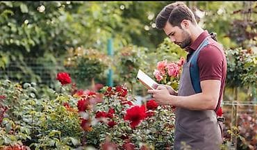 Лимоны: 🌿 *Флорист на выезд (дом/офис)* Опыт более 10 лет! Забочусь о цветах — 1