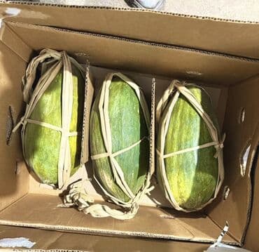 Инструменттер: Коондор Дүңүнөн — 1