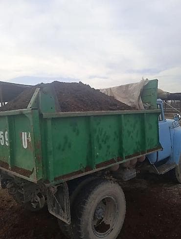 купить навоз бишкек: Перегной доставка по городу Бишкек — 5