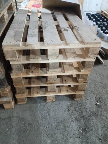 принимаем яйца: Поддон Для пищевой промышленности, Б/у, В наличии — 5