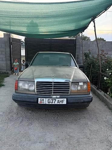 w124 дерево: Mercedes-Benz W124: 1990 г., Седан — 3