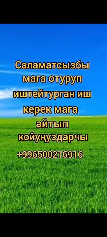 profile design: Ищу удалённую работу (сидячая/домашняя занятость). Рассмотрю варианты — 2
