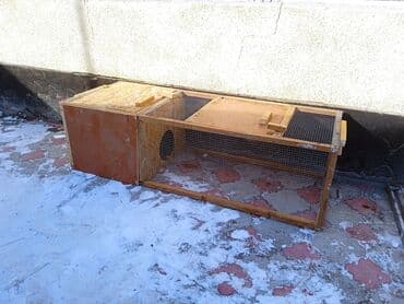 домик для птицы: Клетки для кур, тоокко сетка брудеры, клетки для кур, курятник — 1